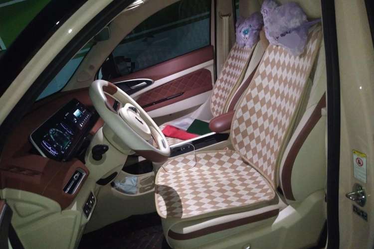 Used ORA Good Cat 2021 400km Standard Range Athena Edition Lithium Iron Phosphate Left Front Seat