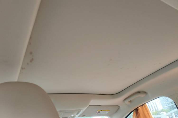 Used ORA Good Cat 2021 400km Standard Range Venus Edition Lithium-Ion Battery Headliner