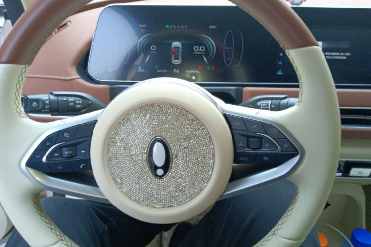 Used ORA Good Cat 2021 400km Standard Range Muse Edition Lithium Iron Phosphate Steering Wheel