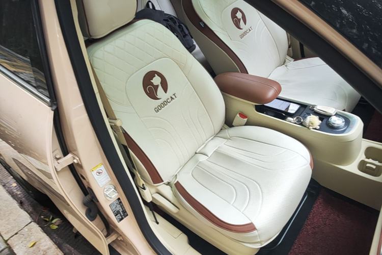 Used ORA Good Cat 2021 500km Long-Range Poseidon Edition Lithium-Ion Battery Right Front Seat
