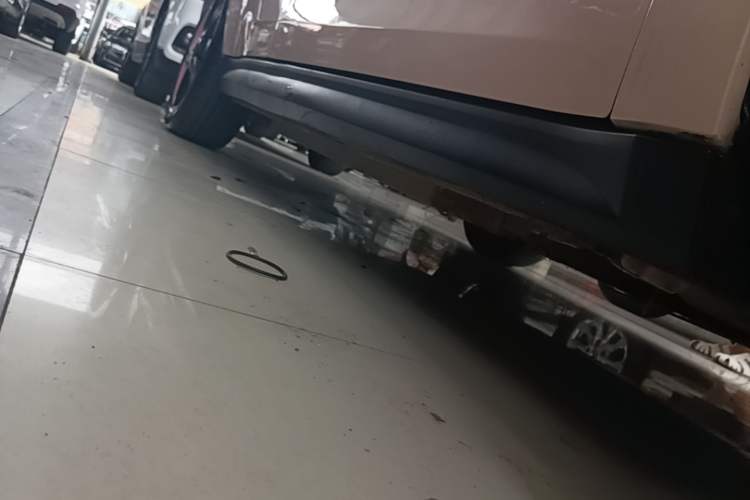 Used ORA Good Cat 2021 400km Standard Range Athena Edition Lithium Iron Phosphate Right Side Sill