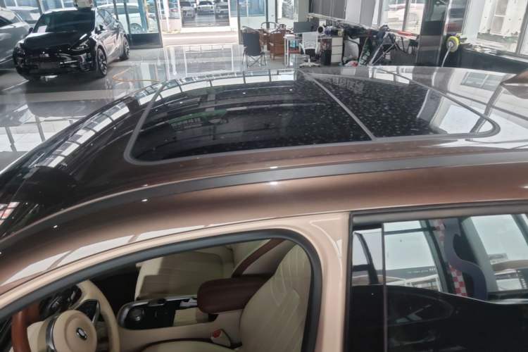 Used ORA Good Cat 2021 400km Standard Range Athena Edition Lithium-Ion Battery Roof