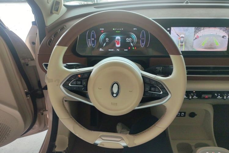 Used ORA Good Cat 2021 400km Standard Range Athena Edition Lithium Iron Phosphate Steering Wheel