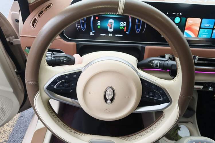 Used ORA Good Cat 2021 400km Standard Range Athena Edition Lithium Iron Phosphate Steering Wheel