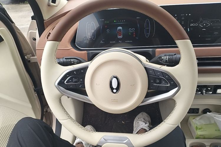 Used ORA Good Cat 2021 400km Standard Range Athena Edition Lithium-Ion Battery Steering Wheel