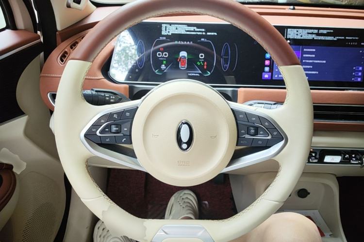 Used ORA Good Cat 2021 500km Long-Range Poseidon Edition Lithium-Ion Battery Steering Wheel