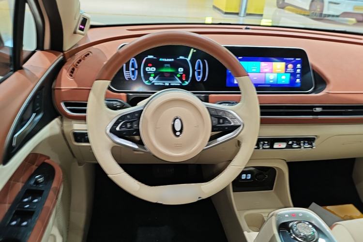 Used ORA Good Cat 2021 500km Long-Range Poseidon Edition Lithium-Ion Battery Steering Wheel