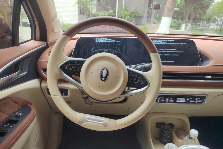 Used ORA Good Cat 2021 400km Standard Range Venus Edition Lithium Iron Phosphate Steering Wheel