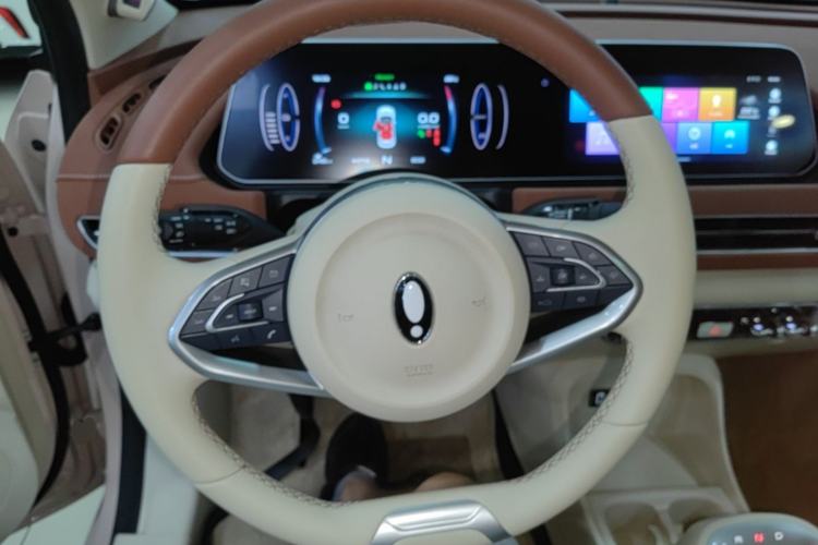 Used ORA Good Cat 2021 500km Long-Range Poseidon Edition Lithium-Ion Battery Steering Wheel