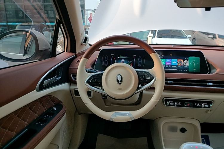 Used ORA Good Cat 2021 500km Long-Range Poseidon Edition Lithium-Ion Battery Steering Wheel