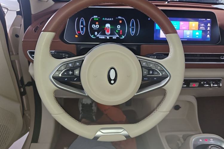 Used ORA Good Cat 2021 400km Standard Range Business Edition Lithium-Ion Battery Steering Wheel