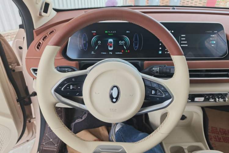 Used ORA Good Cat 2021 400km Standard Range Venus Edition Lithium Iron Phosphate Steering Wheel