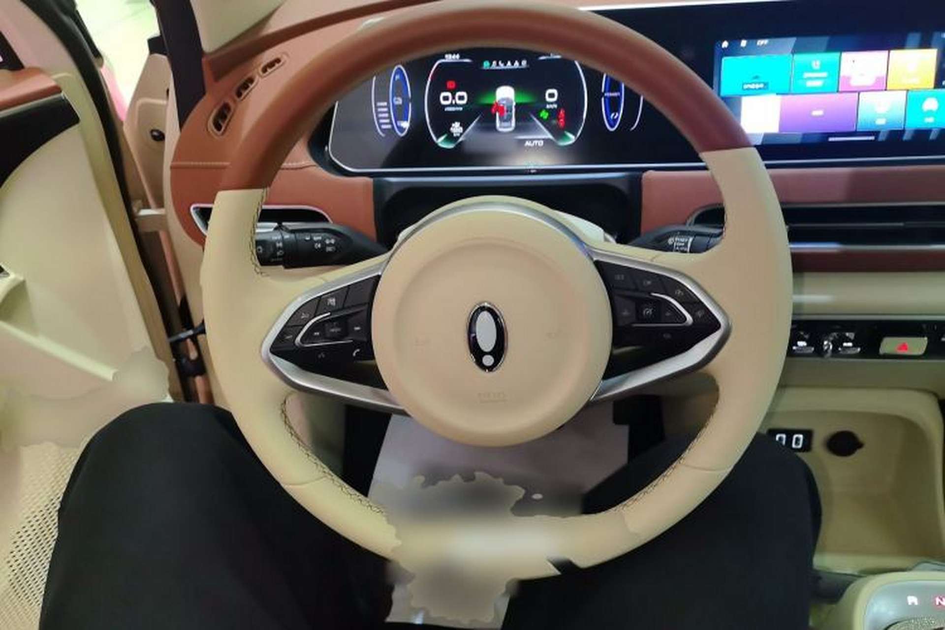 Used ORA Good Cat 2021 400km Standard Range Venus Edition Lithium Iron Phosphate Steering Wheel