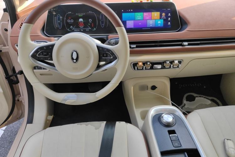 Used ORA Good Cat 2021 400km Standard Range Athena Edition Lithium Iron Phosphate Steering Wheel