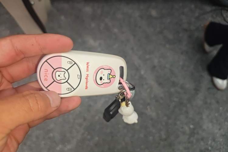 Used ORA Good Cat 2021 400km Standard Range Muse Edition Lithium-Ion Battery Vehicle Key