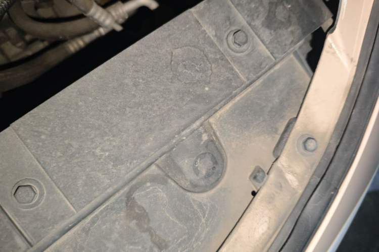 Used ORA Good Cat 2021 400km Standard Range Venus Edition Lithium Iron Phosphate Vehicle Key