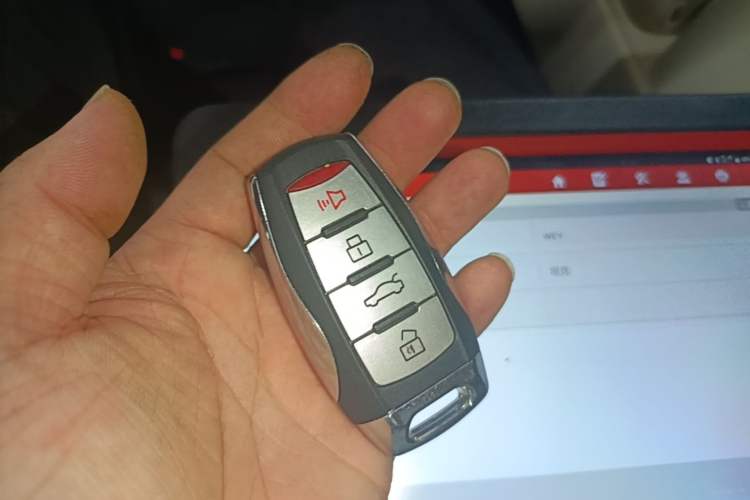 Used ORA Good Cat 2021 500km Long-Range Poseidon Edition Lithium-Ion Battery Vehicle Key