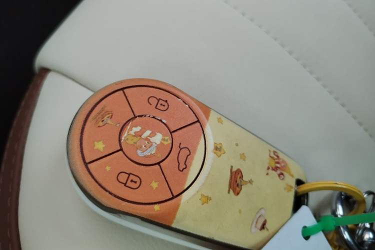Used ORA Good Cat 2021 500km Long-Range Poseidon Edition Lithium-Ion Battery Vehicle Key
