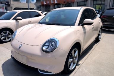 Used ORA Good Cat 2021 500km Long-Range Poseidon Edition Lithium-Ion Battery