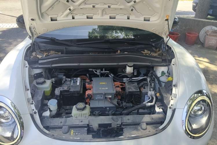 Used ORA Good Cat 2021 500km Long-Range Poseidon Edition Lithium-Ion Battery Engine Bay