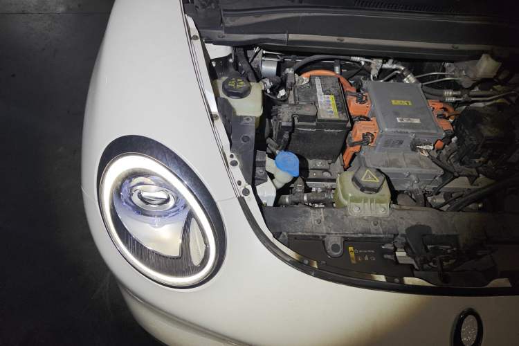 Used ORA Good Cat 2021 400km Standard Range Venus Edition Lithium Iron Phosphate Engine Bay Right