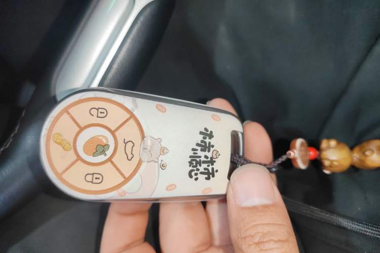 Used ORA Good Cat 2021 400km Standard Range Venus Edition Lithium Iron Phosphate Interior 1
