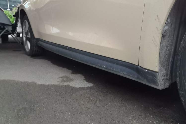 Used ORA Good Cat 2021 400km Standard Range Athena Edition Lithium Iron Phosphate Right Side Sill