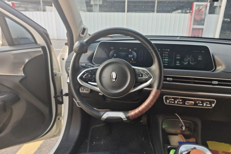 Used ORA Good Cat 2021 500km Long-Range Poseidon Edition Lithium-Ion Battery Steering Wheel