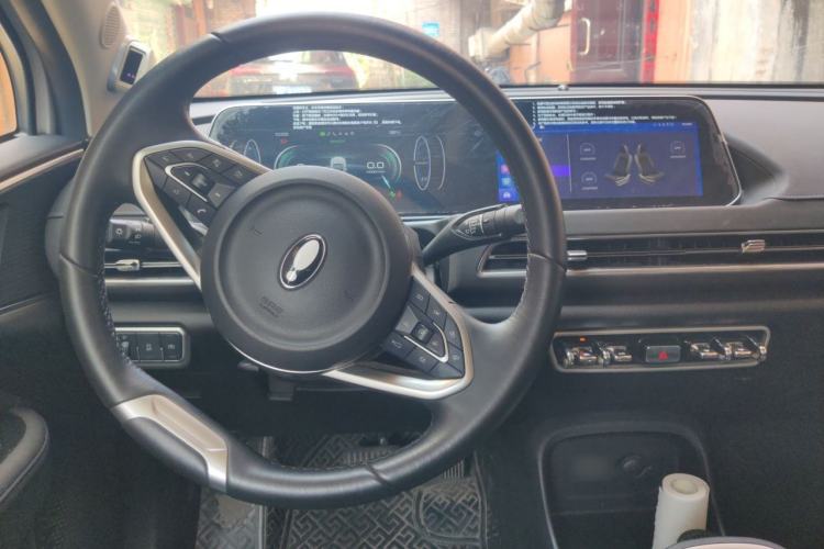 Used ORA Good Cat 2021 500km Long-Range Poseidon Edition Lithium-Ion Battery Steering Wheel
