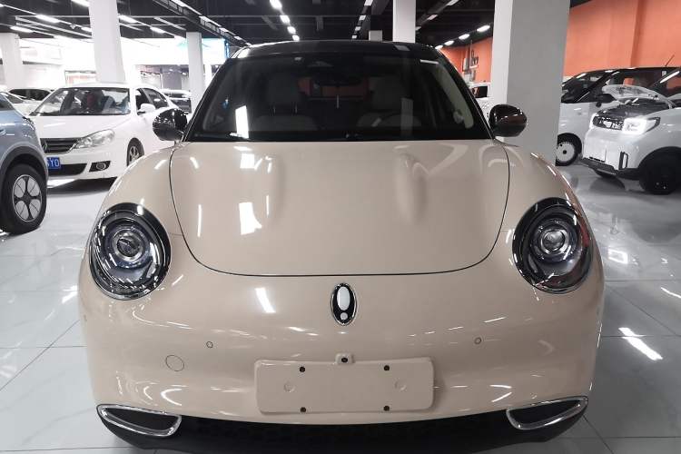 Used ORA Good Cat 2021 500km Long-Range Poseidon Edition Lithium-Ion Battery Exterior 1