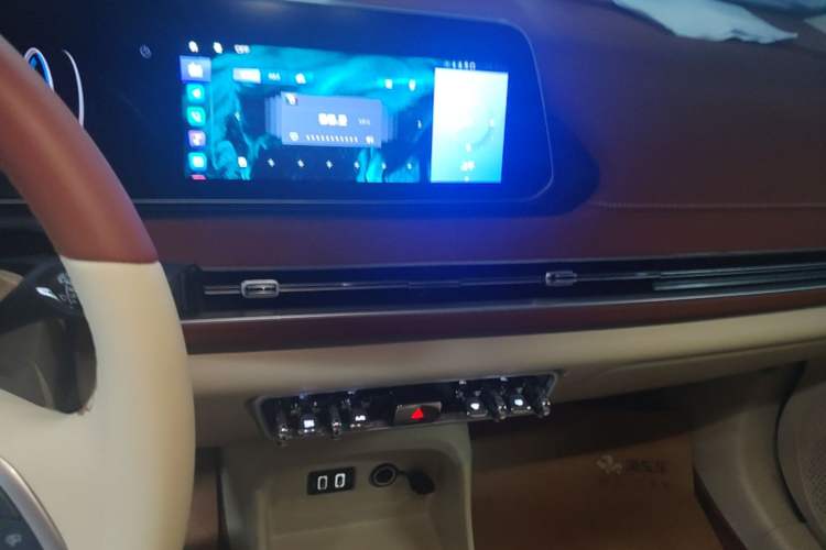 Used ORA Good Cat 2022 Morandi Edition 400km Standard Range Luxury Version Lithium-Ion Battery Audio And AC Panel