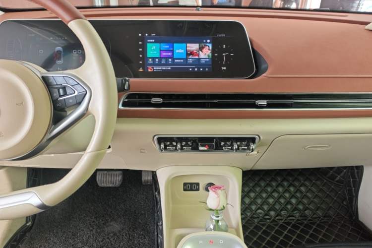 Used ORA Good Cat 2022 400km Standard Range Luxury Version Lithium Iron Phosphate Audio And AC Panel