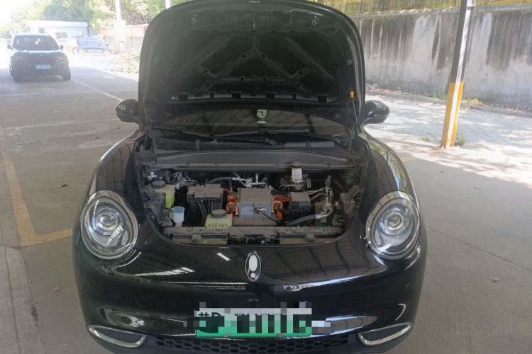 Used ORA Good Cat 2022 400km Standard Range Luxury Version Lithium Iron Phosphate Engine Bay
