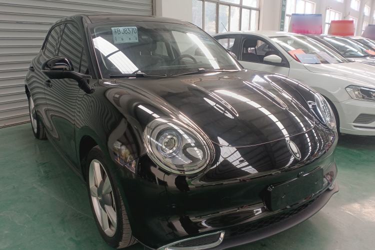 Used ORA Good Cat 2022 400km Standard Range Luxury Version Lithium Iron Phosphate Exterior 2