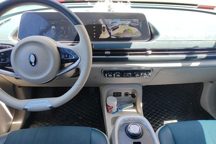 Used ORA Good Cat 2022 Morandi Edition 400km Standard Range Luxury Version Lithium-Ion Battery Audio And AC Panel