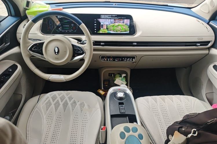 Used ORA Good Cat 2022 Morandi Edition 400km Standard Range Premium Version Lithium-Ion Battery Center Console