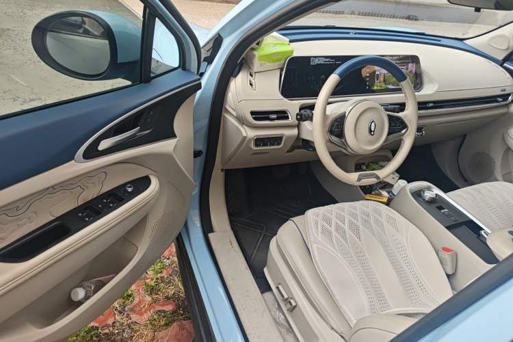 Used ORA Good Cat 2022 Morandi Edition 400km Standard Range Premium Version Lithium-Ion Battery Driver Seat