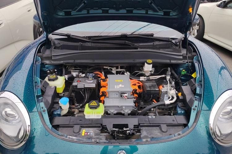 Used ORA Good Cat 2022 Morandi Edition 400km Standard Range Two-Week Young Enjoyment Version Lithium Iron Phosphate Engine Bay