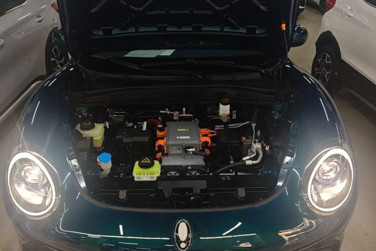 Used ORA Good Cat 2022 Morandi Edition 400km Standard Range Premium Version Lithium-Ion Battery Engine Bay