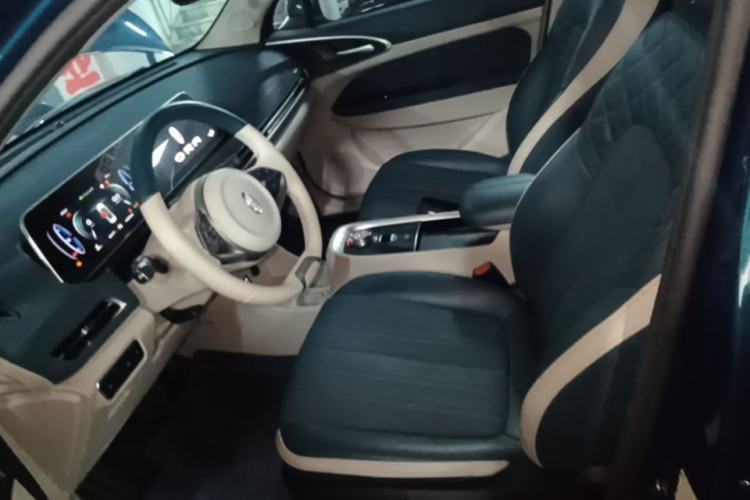 Used ORA Good Cat 2022 400km Standard Range Luxury Version Lithium Iron Phosphate Left Front Seat
