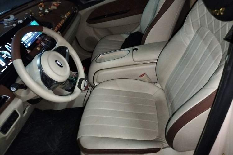 Used ORA Good Cat 2022 Morandi Edition 400km Standard Range Two-Week Young Enjoyment Version Lithium Iron Phosphate Left Front Seat