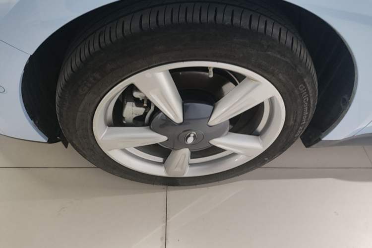 Used ORA Good Cat 2022 400km Standard Range Premium Version Lithium Iron Phosphate Left Front Wheel Hub