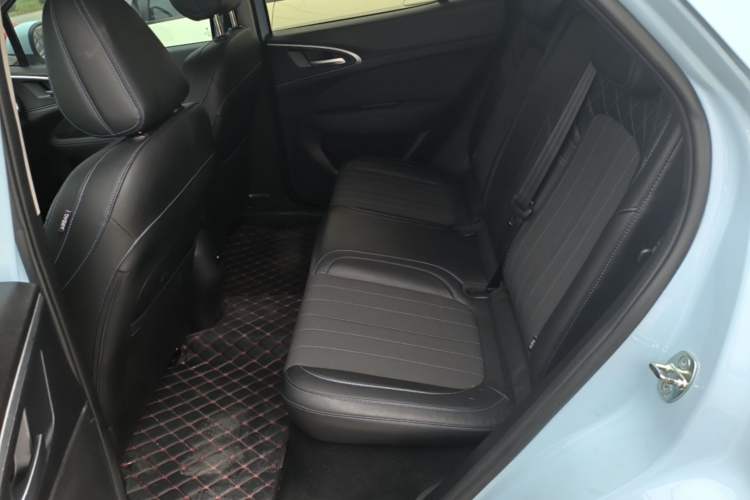 Used ORA Good Cat 2022 Morandi Edition 400km Standard Range Premium Version Lithium Iron Phosphate Left Rear Seat