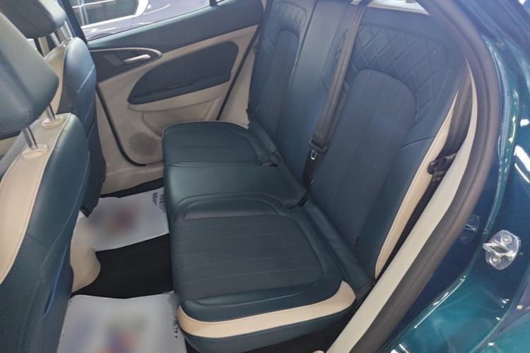 Used ORA Good Cat 2022 400km Standard Range Luxury Version Ternary Lithium Left Rear Seat