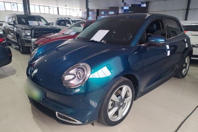 Used ORA Good Cat 2022 400km Standard Range Premium Version Lithium-Ion Battery