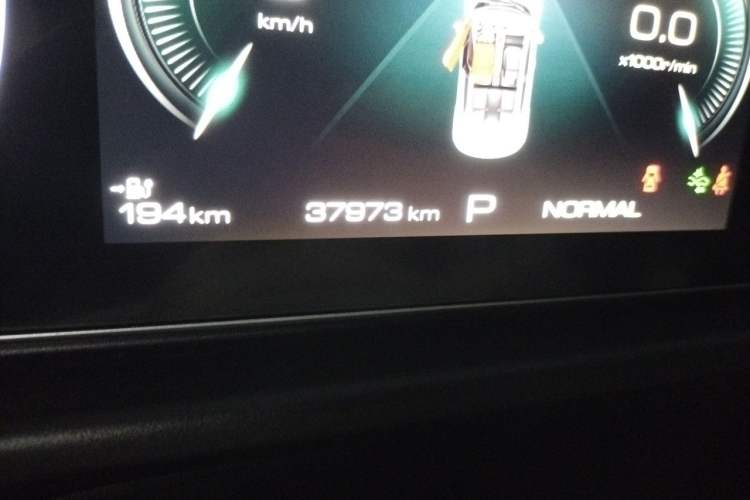 Used ORA Good Cat 2022 Morandi Edition 400km Standard Range Two-Week Young Enjoyment Version Lithium Iron Phosphate Odometer Close Up