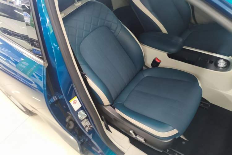 Used ORA Good Cat 2022 Morandi Edition 400km Standard Range Two-Week Young Enjoyment Version Lithium Iron Phosphate Right Front Seat