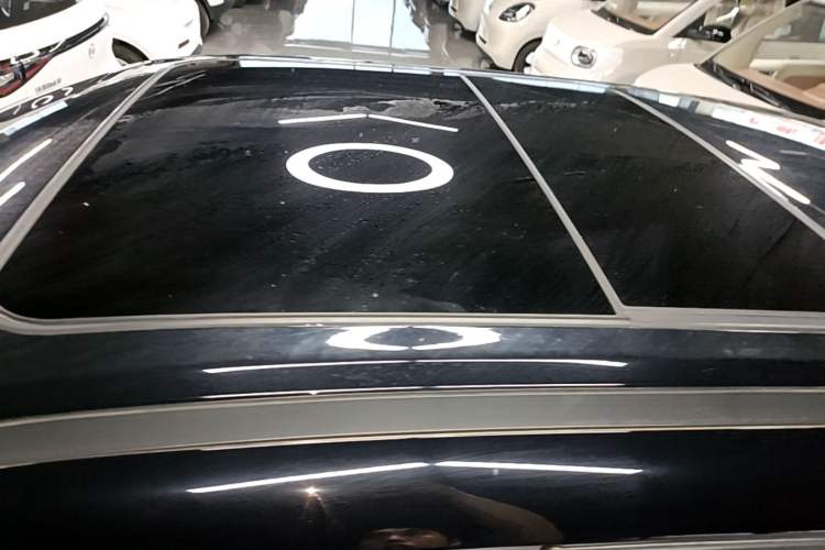 Used ORA Good Cat 2022 400km Standard Range Premium Version Lithium Iron Phosphate Roof
