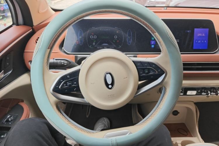 Used ORA Good Cat 2022 Morandi Edition 400km Standard Range Luxury Version Lithium-Ion Battery Steering Wheel