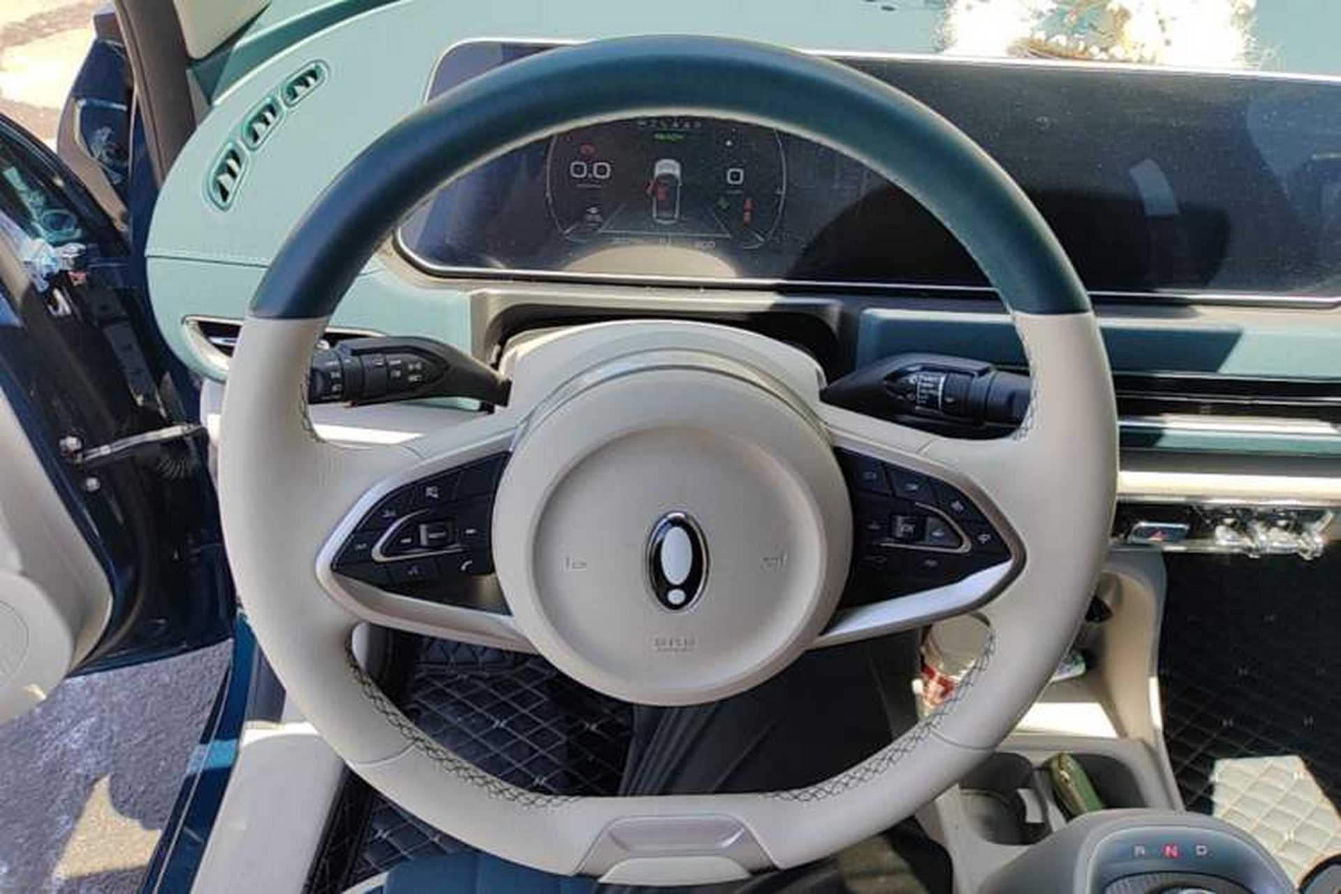 Used ORA Good Cat 2022 Morandi Edition 400km Standard Range Luxury Version Lithium-Ion Battery Steering Wheel